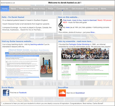 Derek Hasted Guitarist